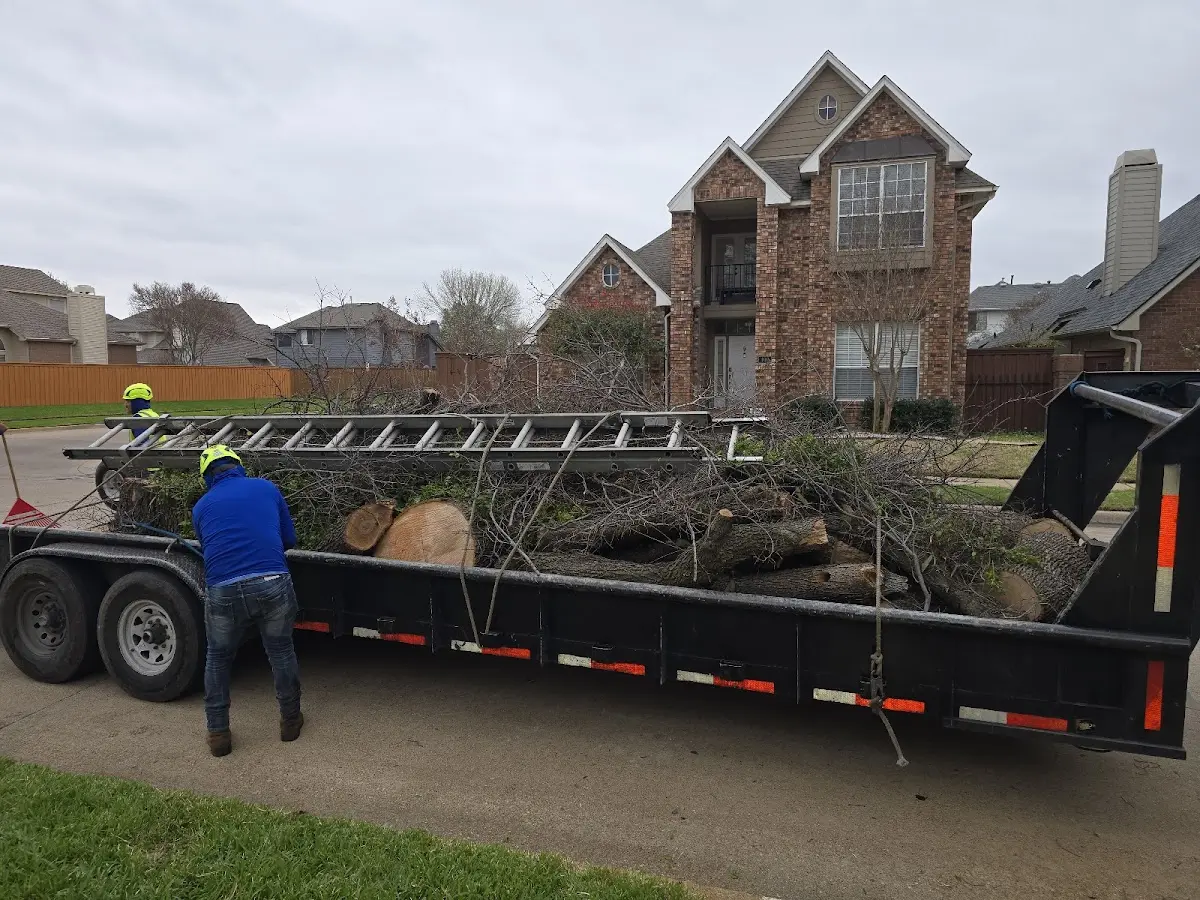 Expert Tree Fertilization with proper safety equipment in Taylors Island